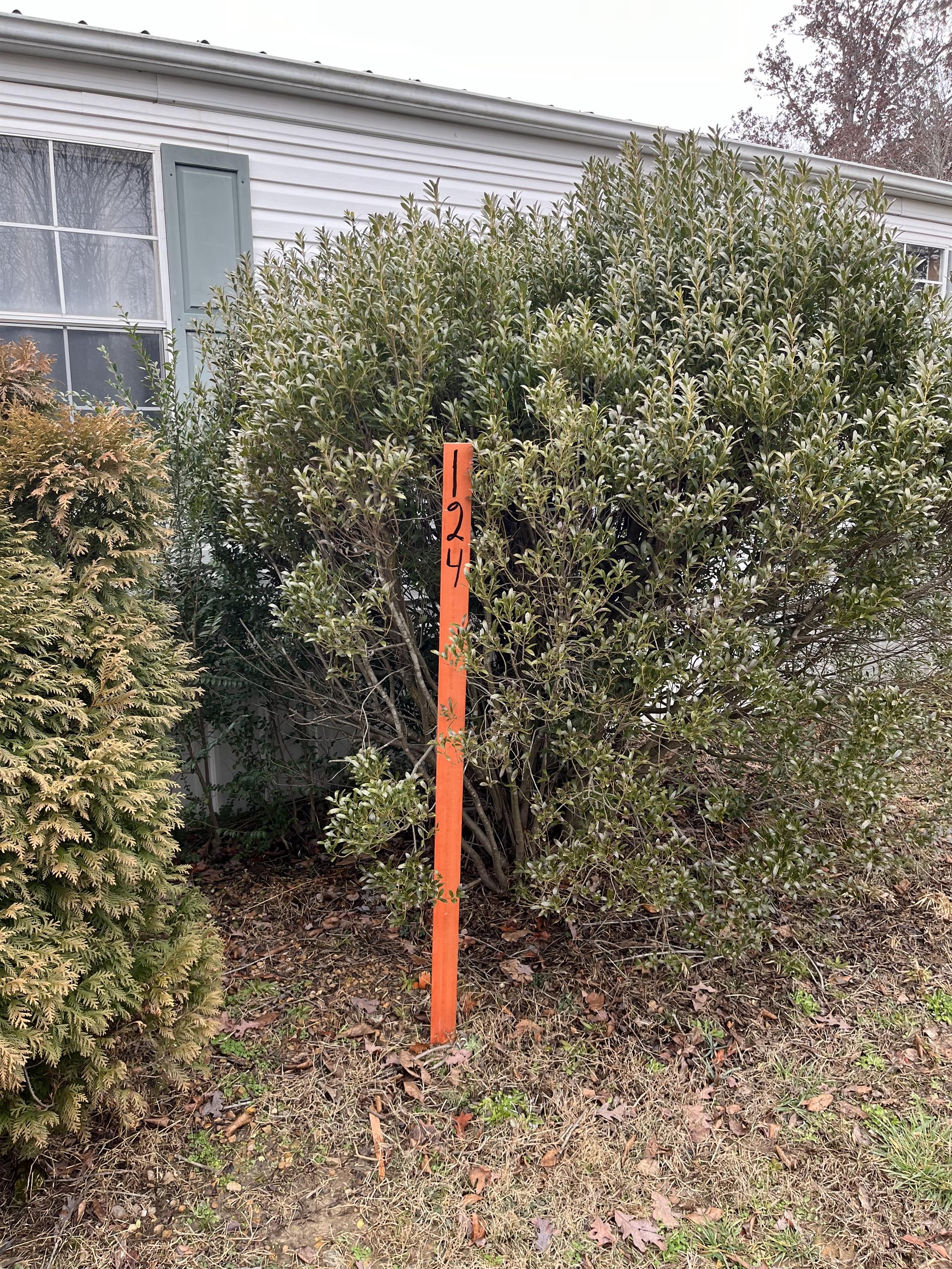 124 Meadow Lane